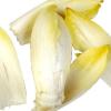 Chicory